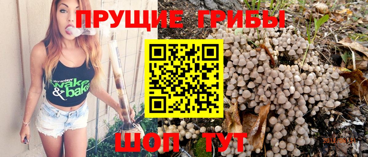 Псилоцибиновые грибы Magic Shrooms  Вход с VPN  Лянтор 