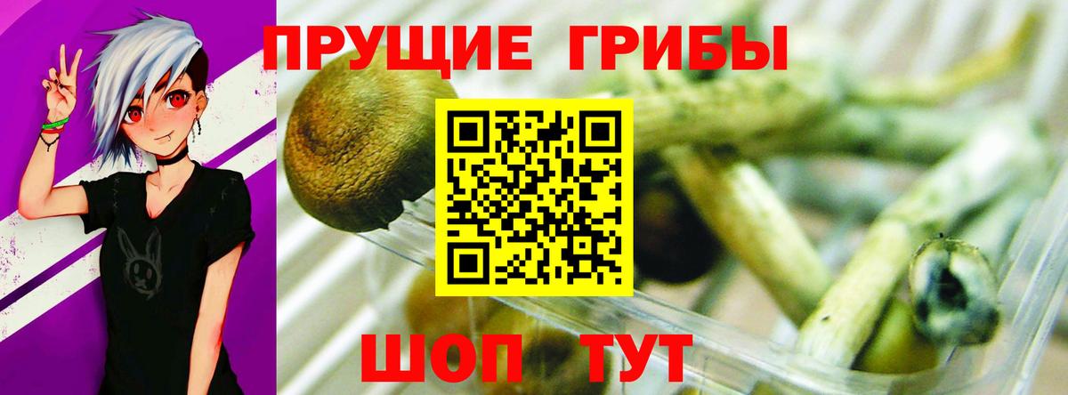 Галлюциногенные грибы Psilocybine cubensis Лянтор